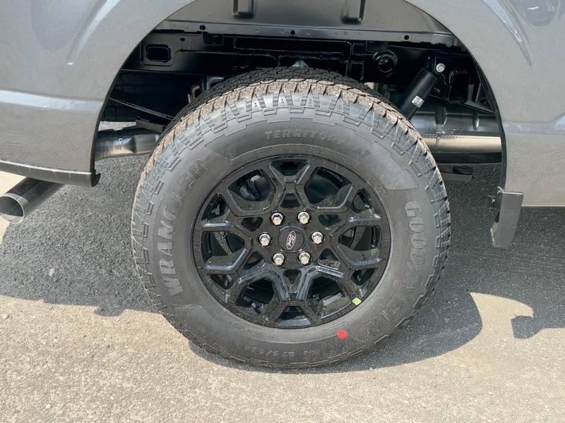 Ford F-150 Vehicle Image 04