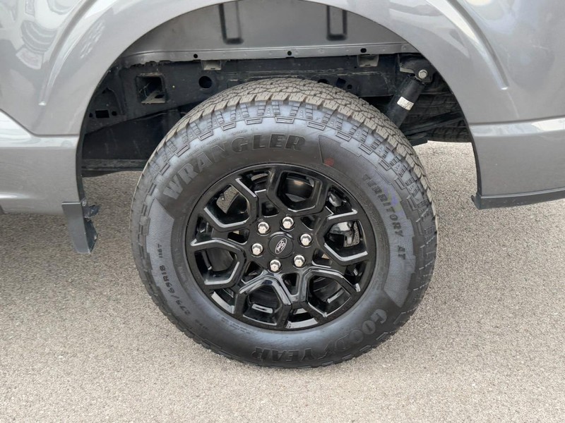 Ford F-150 Vehicle Image 07