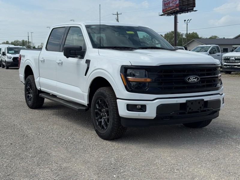 Ford F-150 Vehicle Image 02