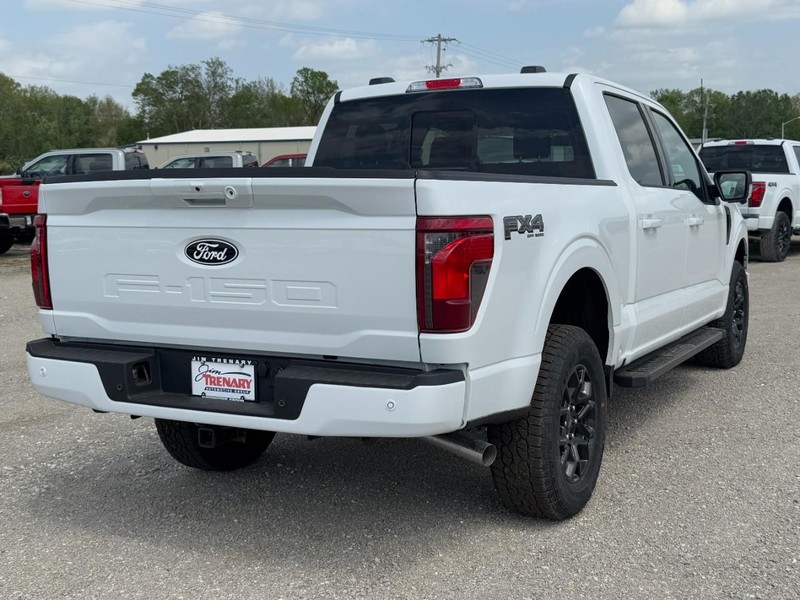 Ford F-150 Vehicle Image 03