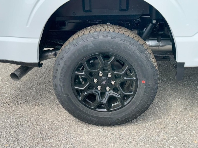 Ford F-150 Vehicle Image 04