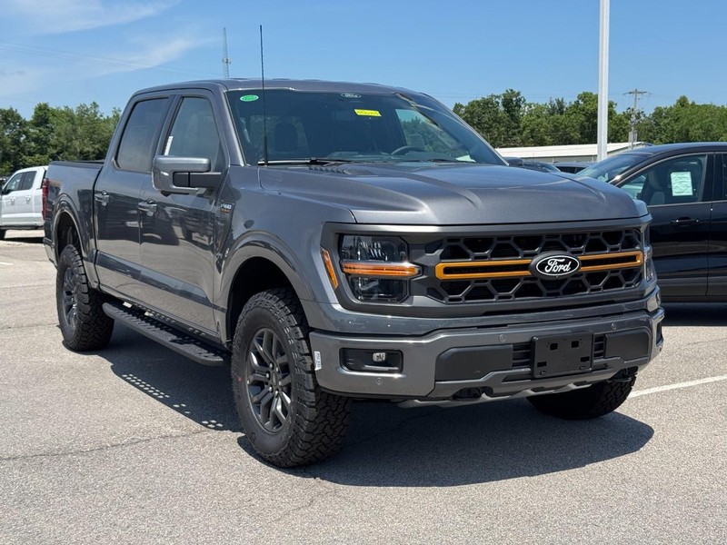 Ford F-150 Vehicle Image 02