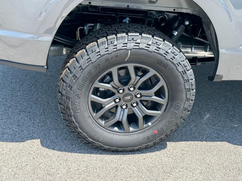 Ford F-150 Vehicle Image 04