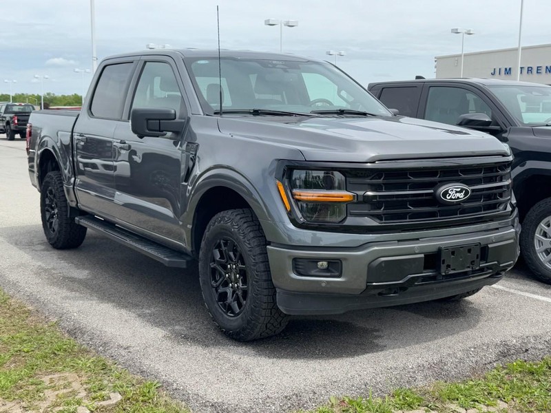 Ford F-150 Vehicle Image 02