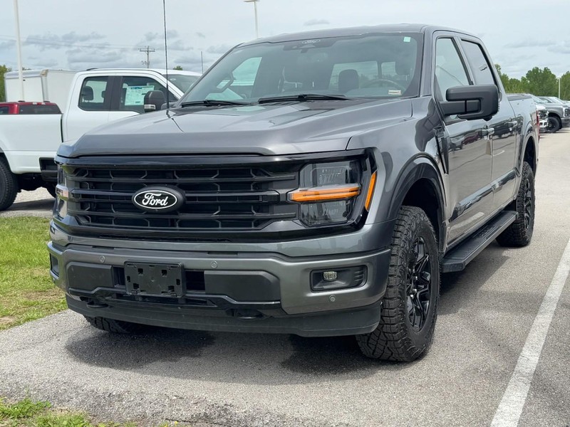 Ford F-150 Vehicle Image 08