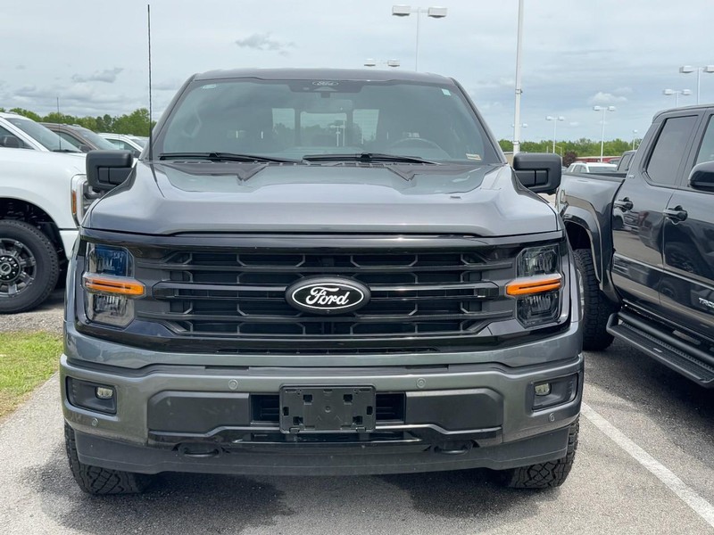 Ford F-150 Vehicle Image 09