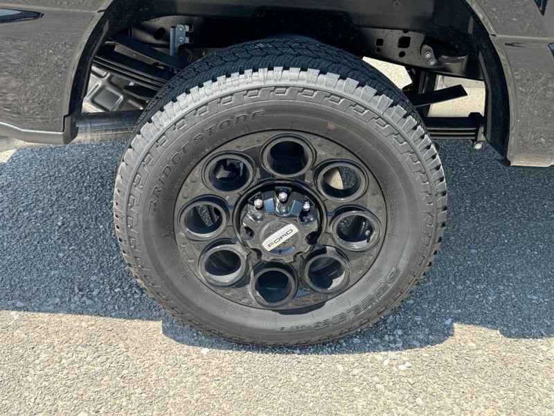 Ford Super Duty F-350 SRW Vehicle Image 04