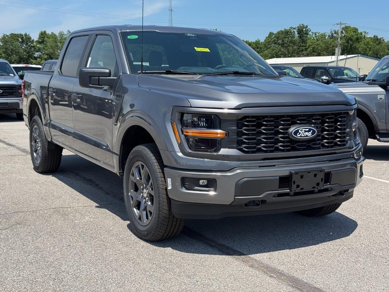 Ford F-150 Vehicle Image 02