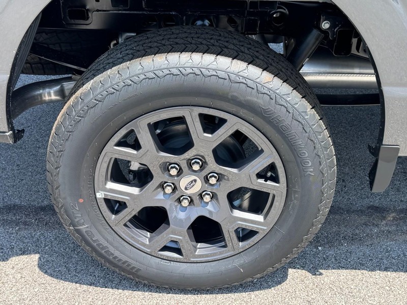 Ford F-150 Vehicle Image 04