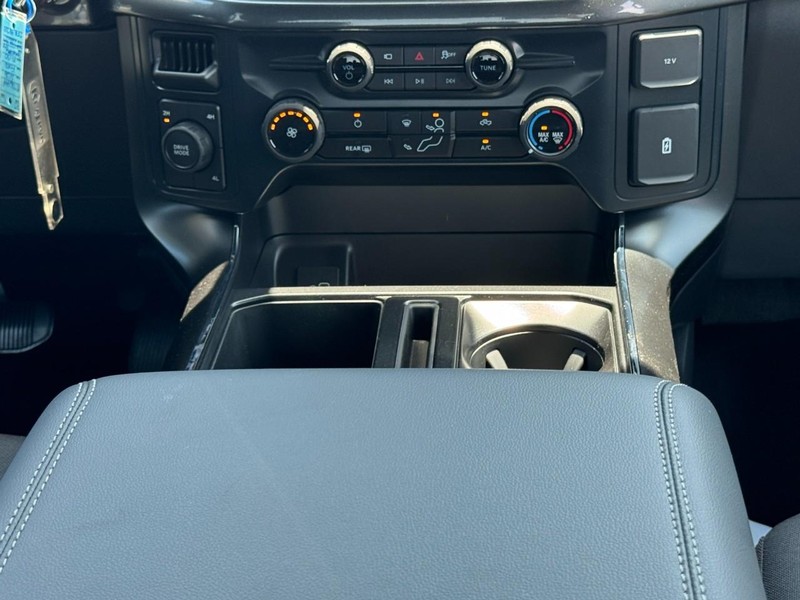 Ford F-150 Vehicle Image 09