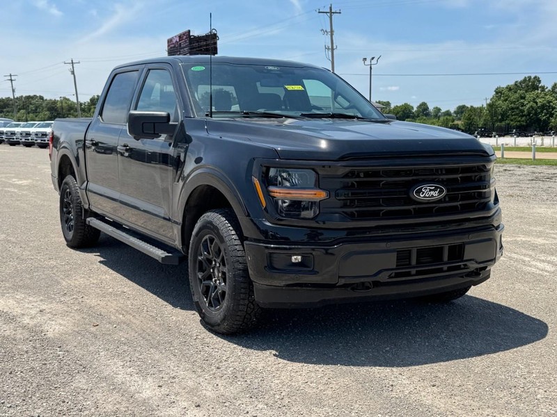 Ford F-150 Vehicle Image 02
