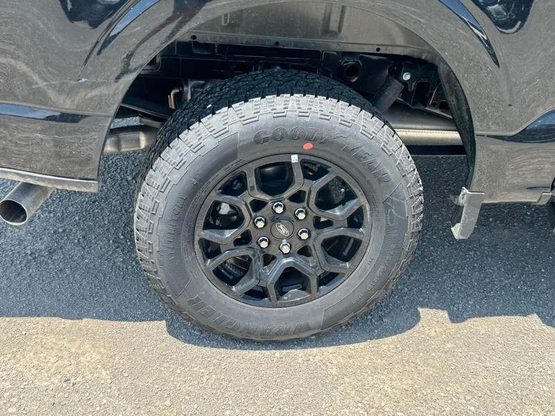 Ford F-150 Vehicle Image 04