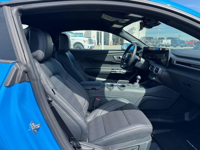 Ford Mustang Vehicle Full-screen Gallery Image 5
