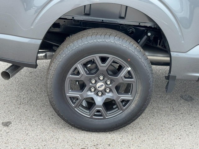 Ford F-150 Vehicle Image 04