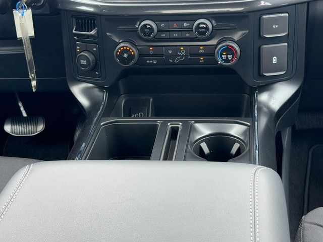 Ford F-150 Vehicle Image 09