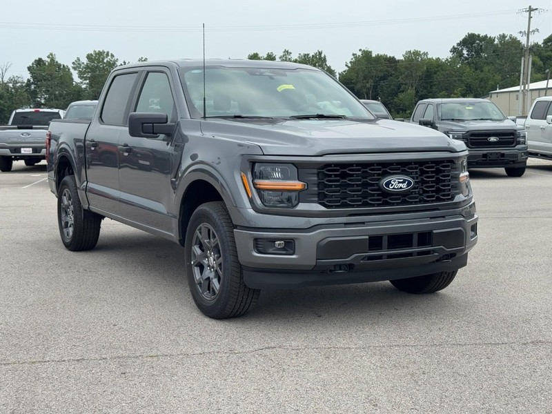 Ford F-150 Vehicle Image 02