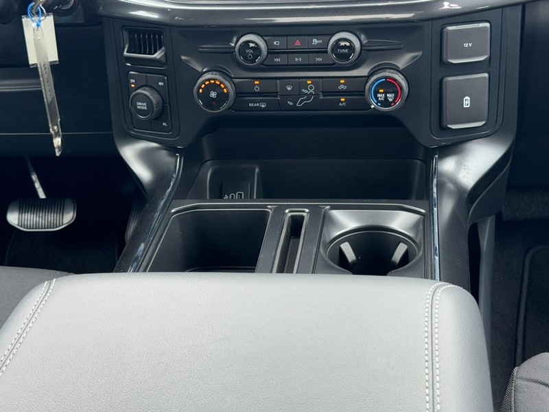 Ford F-150 Vehicle Image 09
