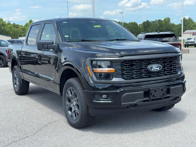 Ford F-150 Vehicle Image 02