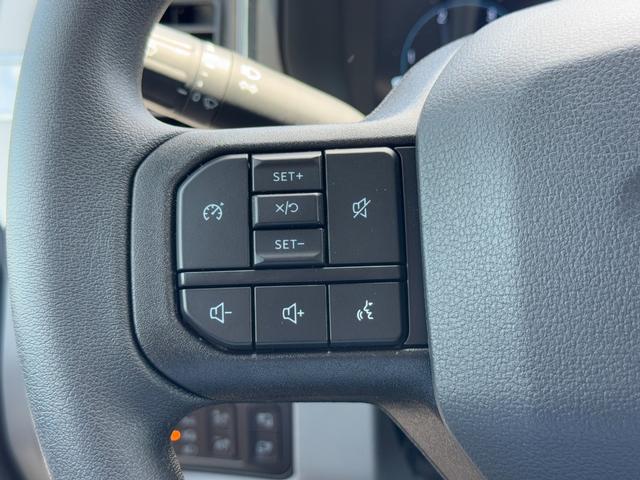 Ford Super Duty F-250 SRW Vehicle Full-screen Gallery Image 10