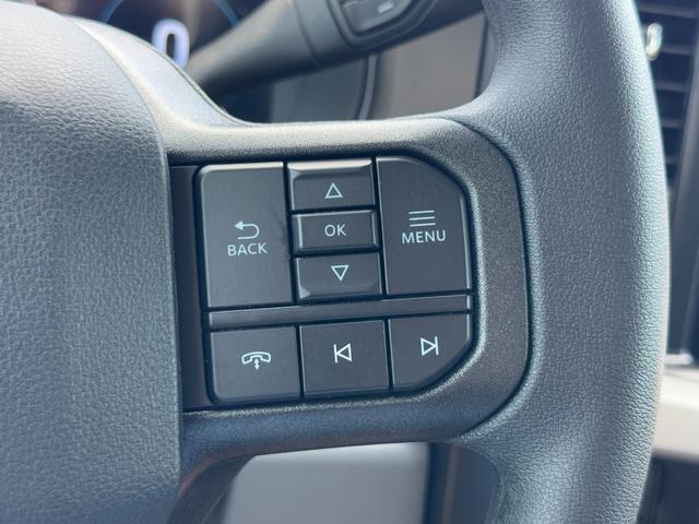 Ford Super Duty F-250 SRW Vehicle Full-screen Gallery Image 11