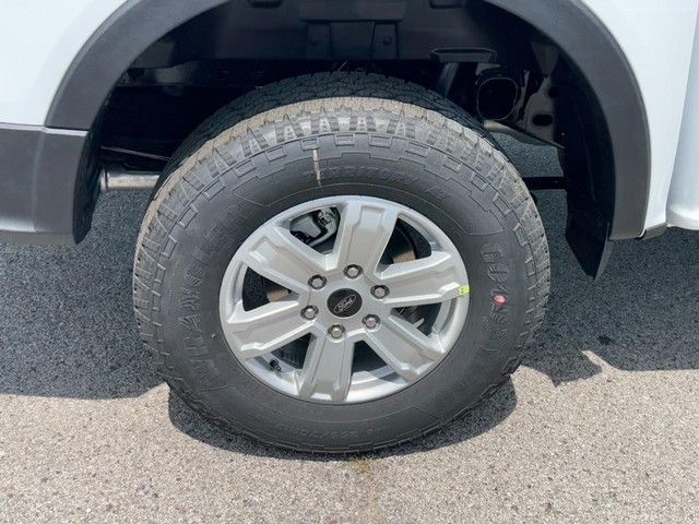 Ford Ranger Vehicle Image 04