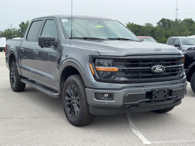 Ford F-150 Vehicle Image 02