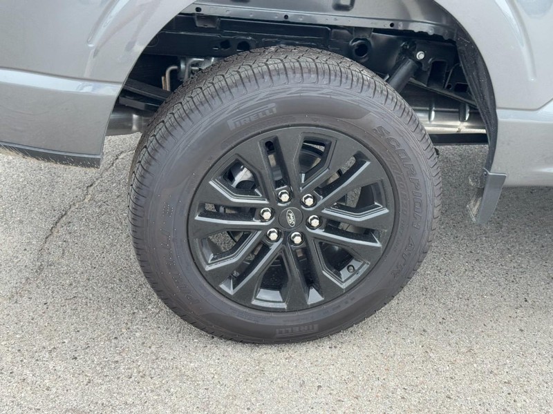 Ford F-150 Vehicle Image 04