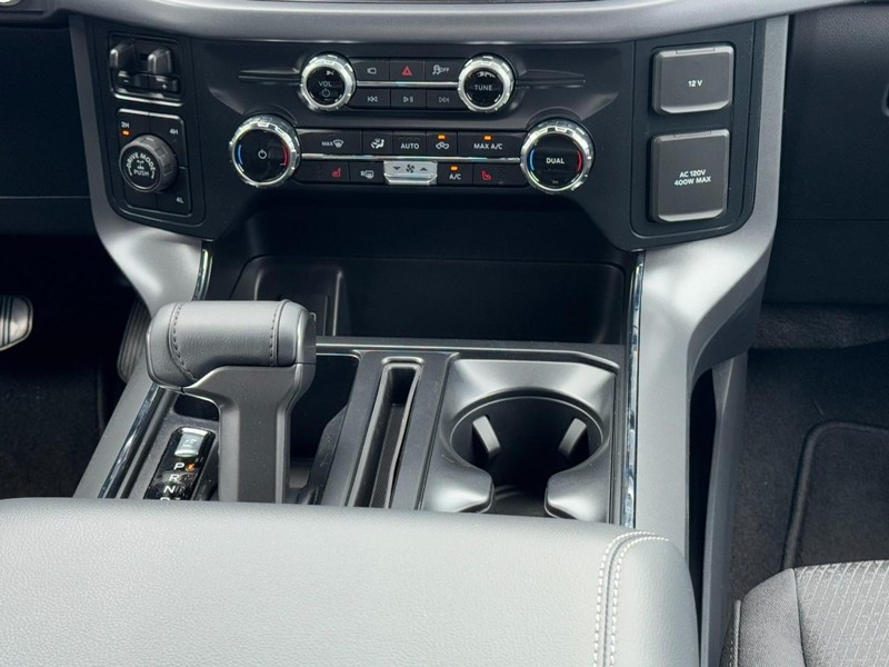 Ford F-150 Vehicle Image 09