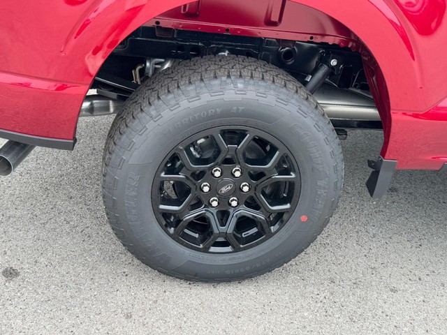 Ford F-150 Vehicle Image 04