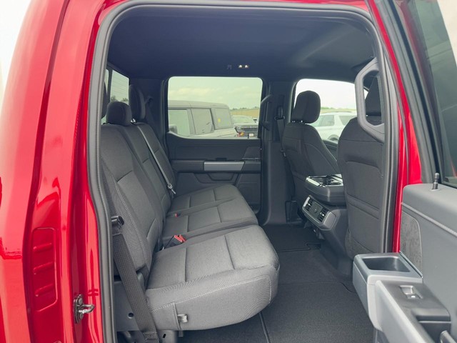 Ford F-150 Vehicle Image 05