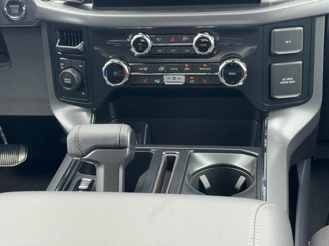 Ford F-150 Vehicle Image 09