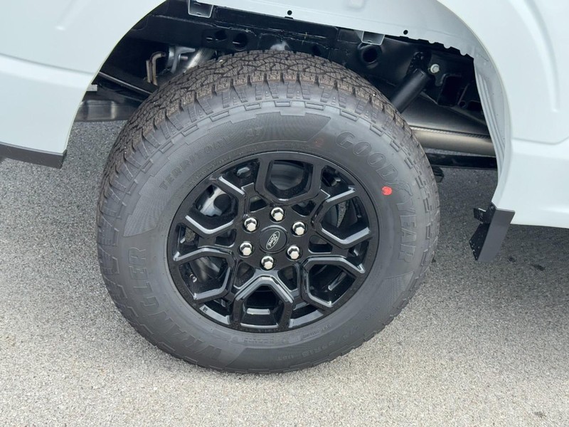 Ford F-150 Vehicle Image 04