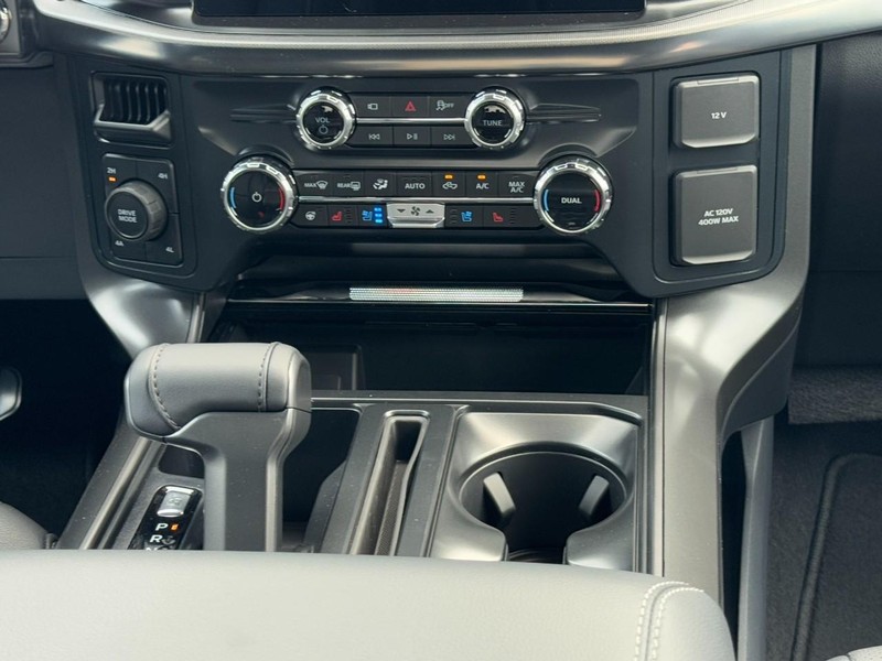 Ford F-150 Vehicle Image 09