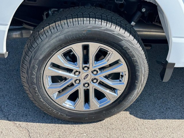 Ford F-150 Vehicle Image 04