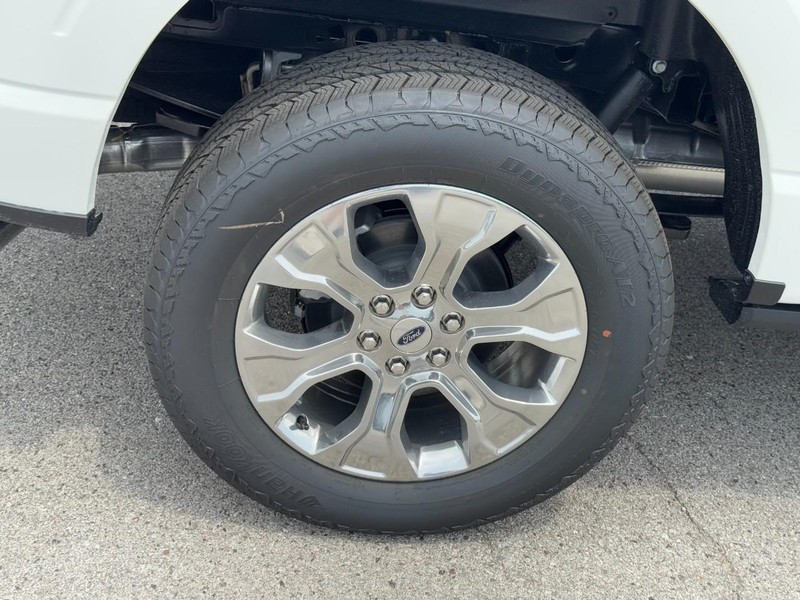 Ford F-150 Vehicle Image 04