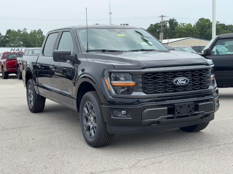 Ford F-150 Vehicle Image 02