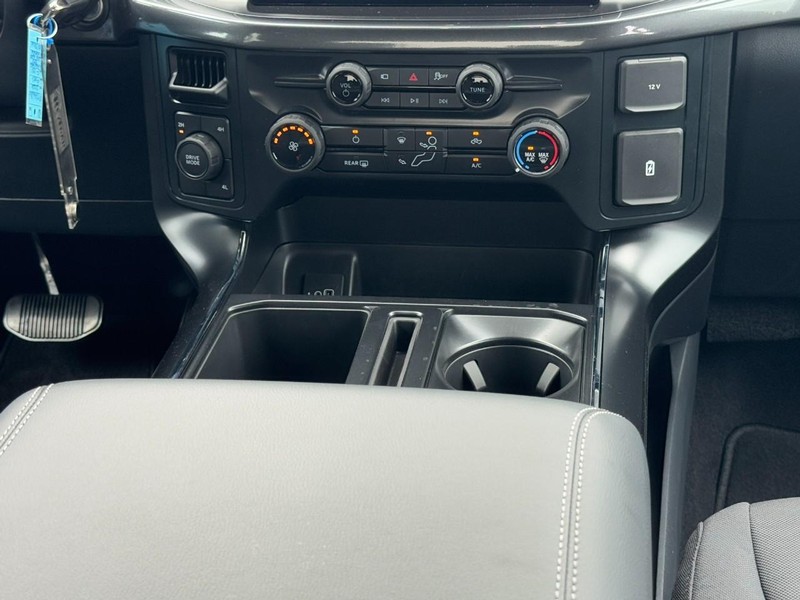 Ford F-150 Vehicle Image 09