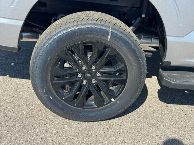 Ford F-150 Vehicle Image 04