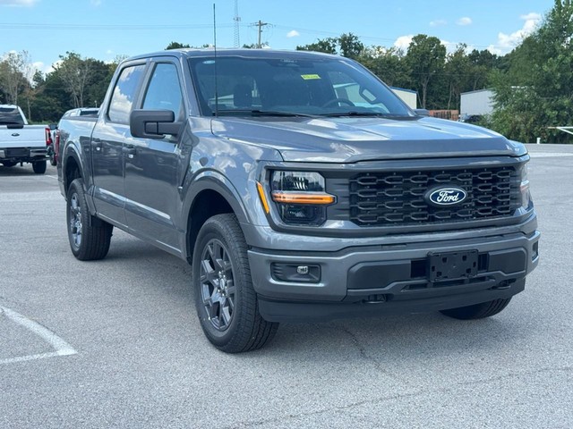 Ford F-150 Vehicle Image 02