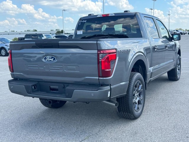 Ford F-150 Vehicle Image 03