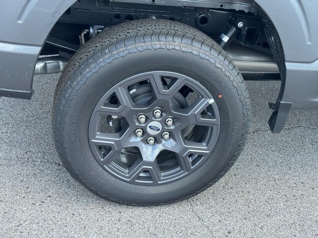 Ford F-150 Vehicle Image 04