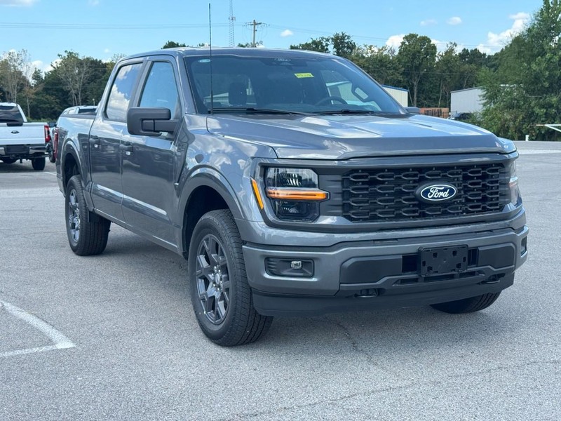 Ford F-150 Vehicle Full-screen Gallery Image 2