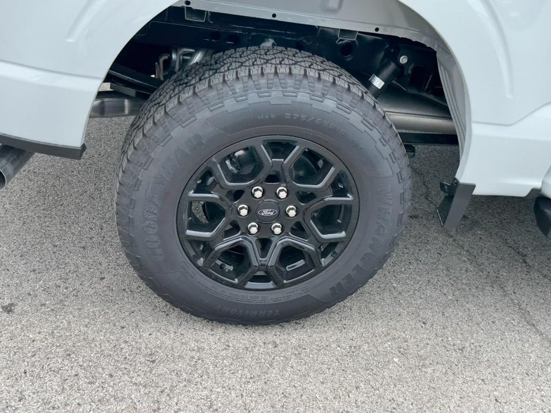Ford F-150 Vehicle Image 04