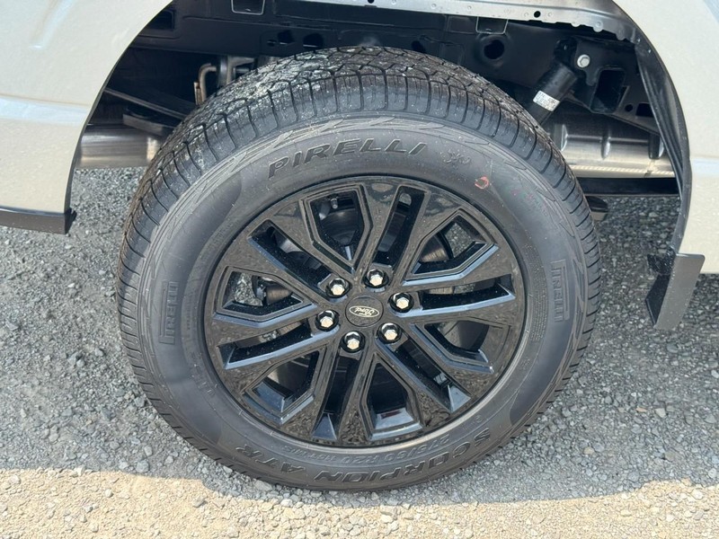 Ford F-150 Vehicle Image 04
