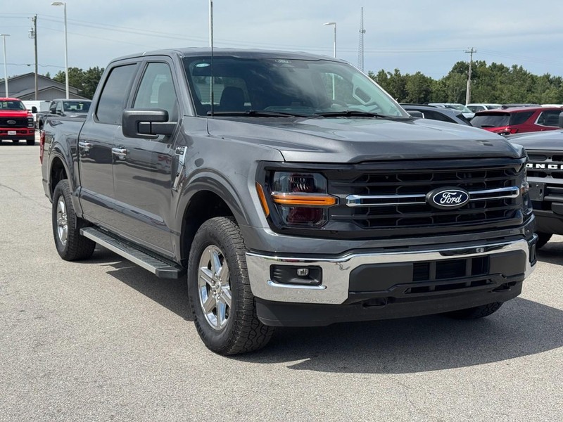 Ford F-150 Vehicle Image 02