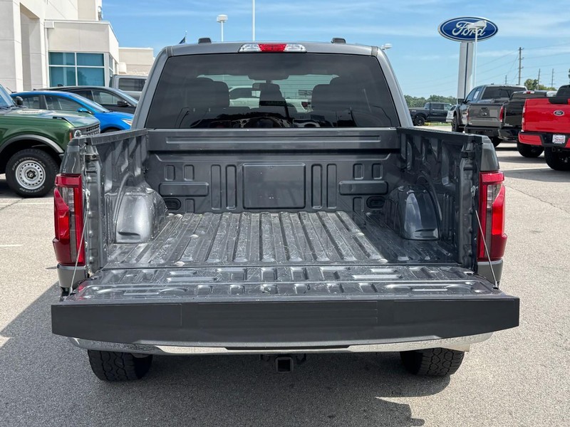 Ford F-150 Vehicle Image 05