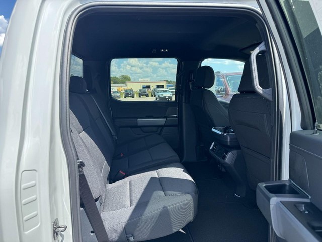 Ford F-150 Vehicle Image 05