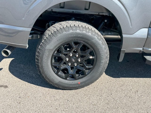 Ford F-150 Vehicle Image 04