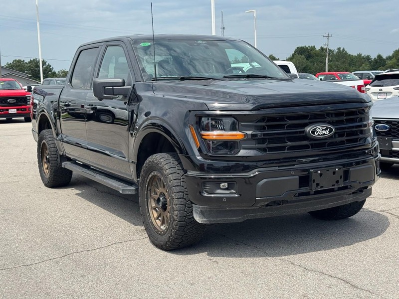 Ford F-150 Vehicle Full-screen Gallery Image 2