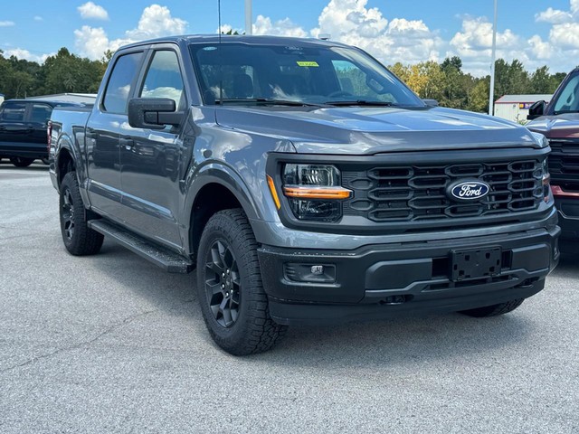 Ford F-150 Vehicle Image 02